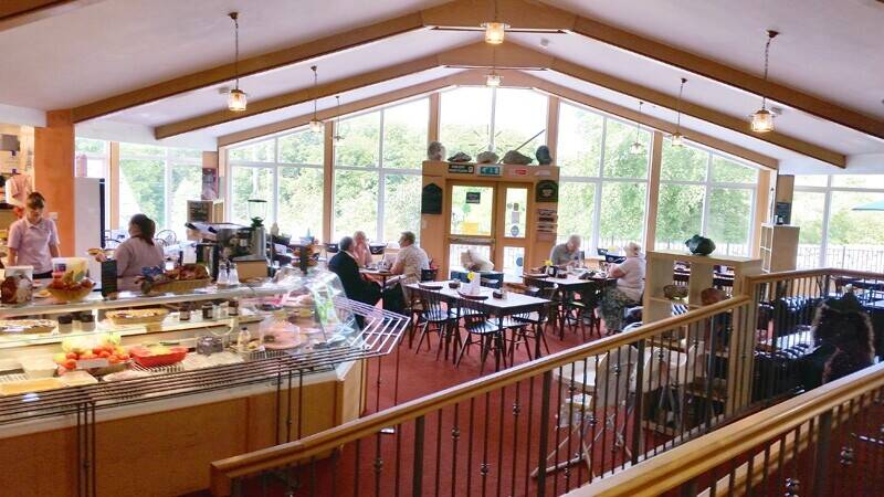 Fantastic multi income venue including café, retail space and 4 bed owners accommodation Photo 4
