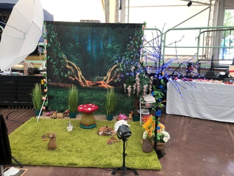 Where Magic Comes Alive – Established Fairy Photography Business