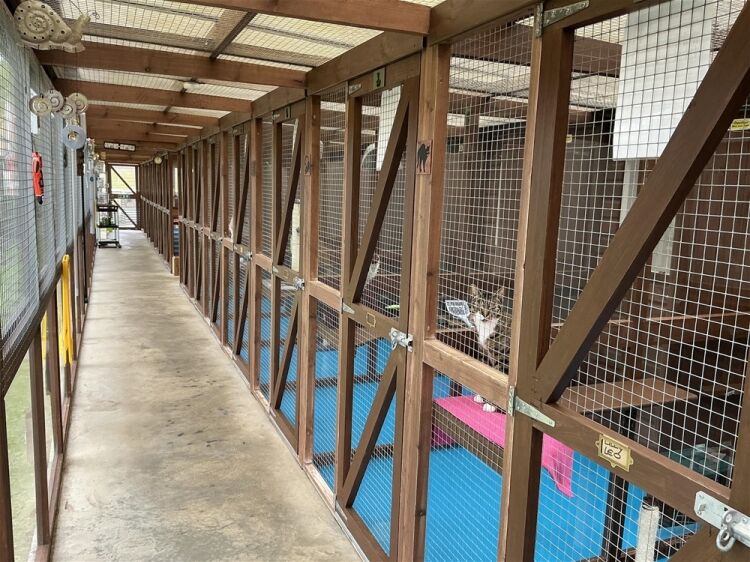 Kennels, Cattery & Equestrian businesses For Sale in Doncaster Photo 4