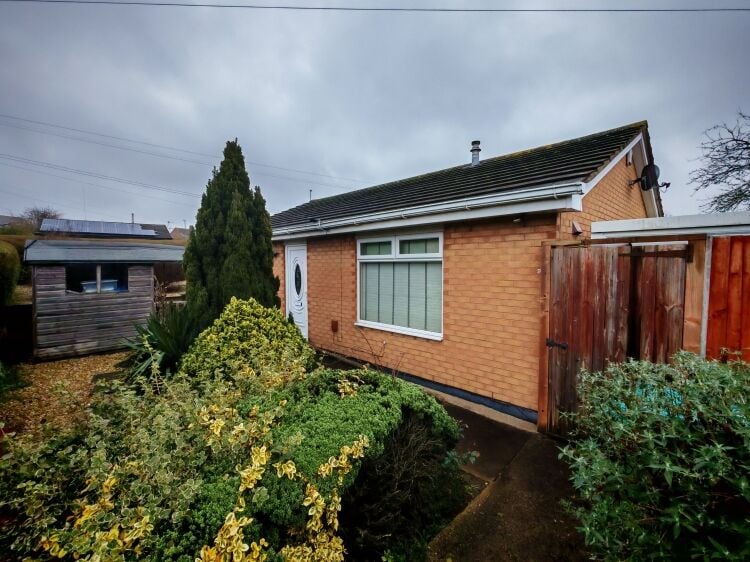 5-Star Licensed Cattery - Capacity for 30 Cats - Nottingham