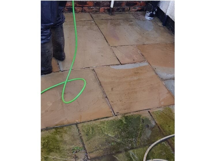 Cultivating Success – Established Garden Maintenance Business