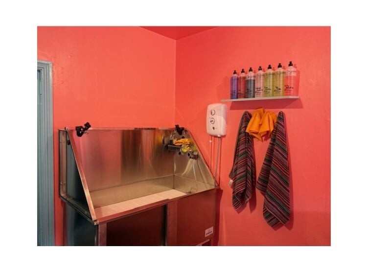 Pampered Pets Paradise – Thriving Dog Grooming Salon in Formby Photo 4