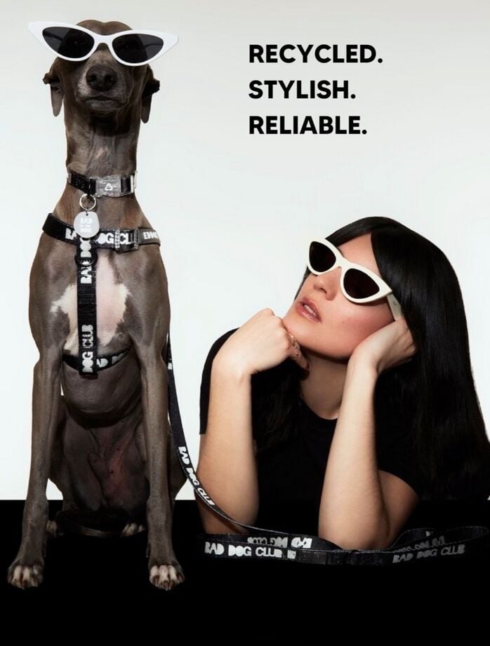 Premium Pet Accessories Brand
