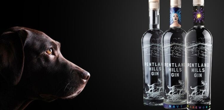 PRODUCER OF MULTI-AWARD-WINNING CRAFT-DISTILLED SPIRITS Photo 4