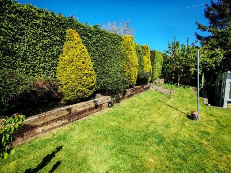 5-Star Licensed Cattery with Freehold Bungalow - Eastwood, Nottingham Photo 4