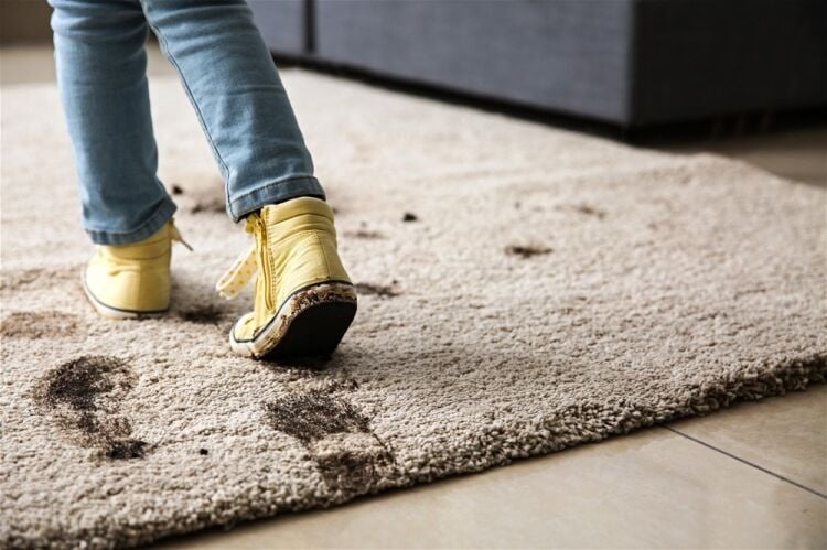 FRANCHISEE PROVIDING DRY-CARPET AND LOW MOISTURE UPHOLSTERY CLEANING