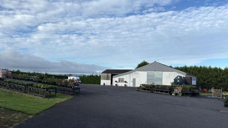 Family-run nursery and plant centre for sale in Mauchline East Ayrshire Photo 4