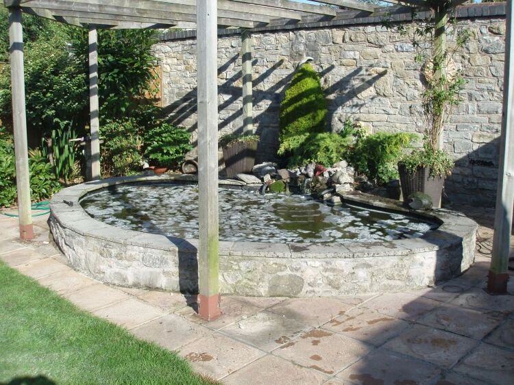 GARDEN POND MAINTENANCE & INSTALLATION Photo 4