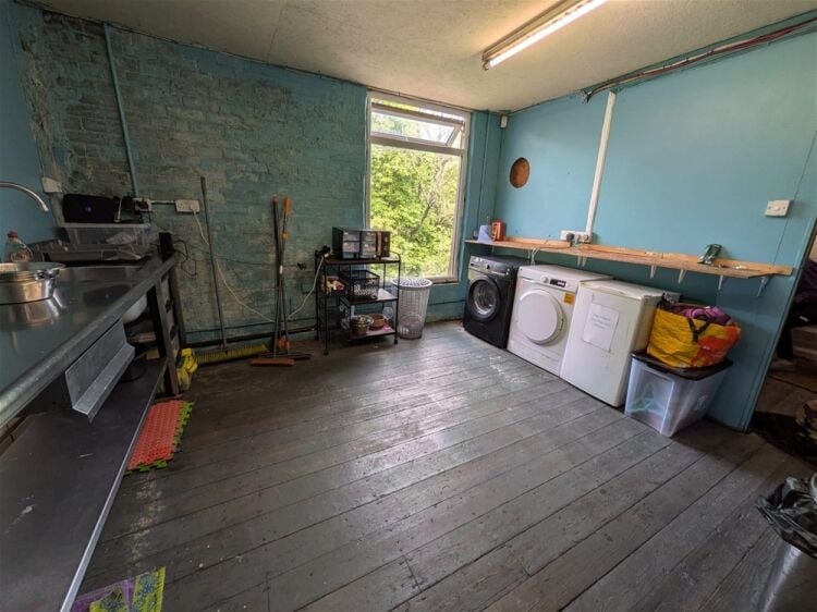 Pets, Supplies & Services For Sale in Darwen Photo 4