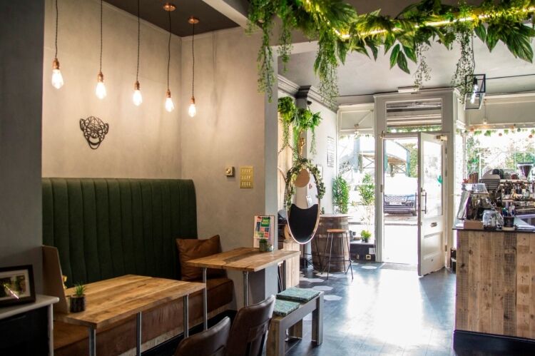 Established Licenced Cafe - Hale