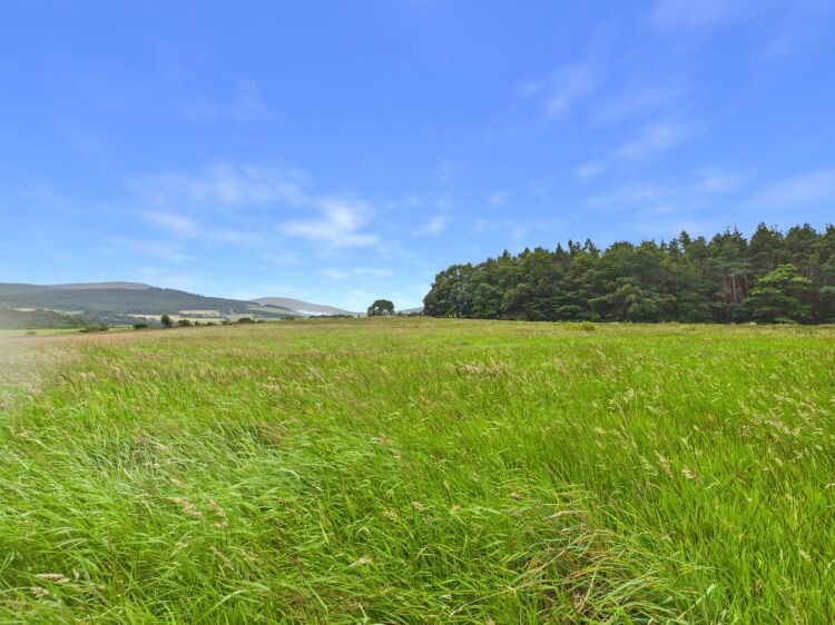 Business for Sale in Aberlour Moray