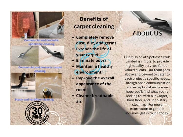 Bring Surfaces Back to Life – Thriving Carpet & Upholstery Cleaning Business
