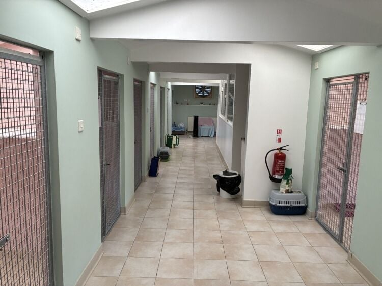 Highly Rated Boarding Kennels and Cattery with detatched 5 Bedroom House