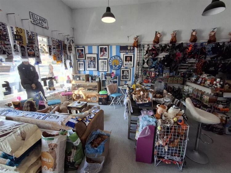 Pets, Supplies & Services For Sale in Leeds Photo 4