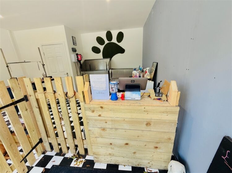 Pets, Supplies & Services For Sale in Brighouse