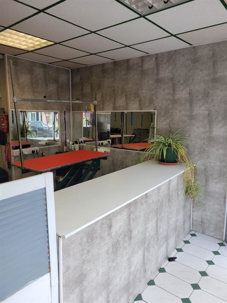 Established Dog Grooming Centre in Prime Staffordshire Location