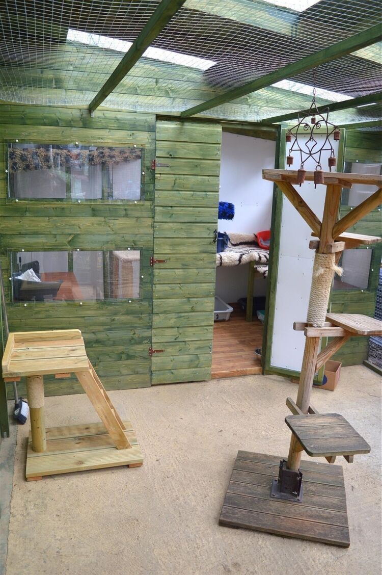 BOARDING CATTERY LICENSED FOR UP TO 81 CATS Photo 4