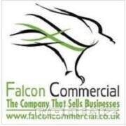 Exciting Opportunity In The Business Brokerage Industry Photo 1