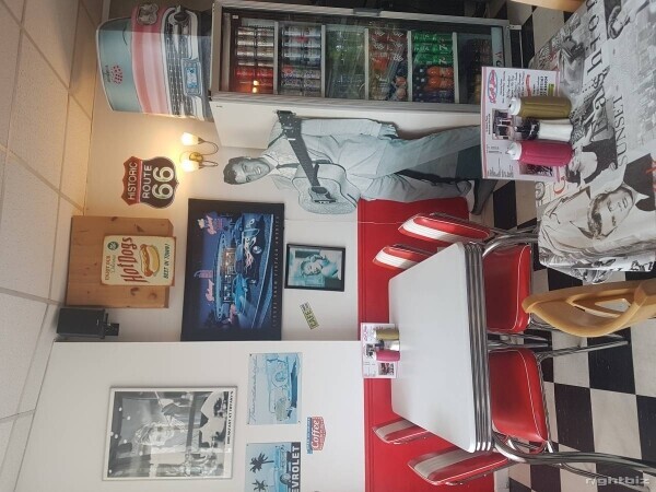 50s style rock&roll cafe Diner For Sale Photo 1