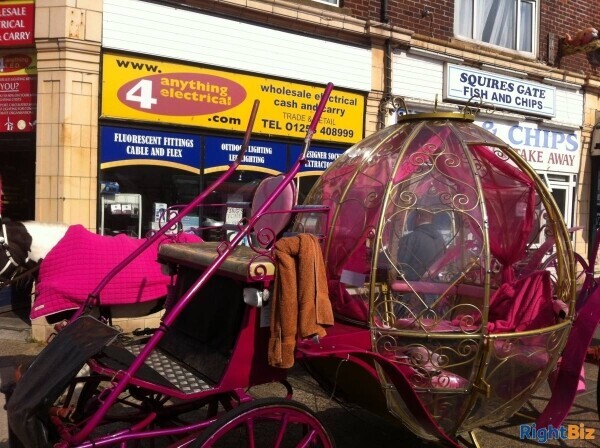 Electrical Goods supplies, Wholesale/Retail, located just off Blackpool promenade, established 15 year Photo 1