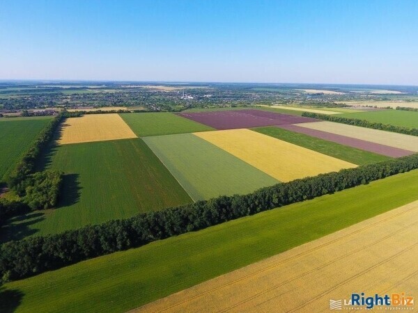 Agricultural Farm Milling Complex Bakery And Pellet Factory For Sale Photo 1
