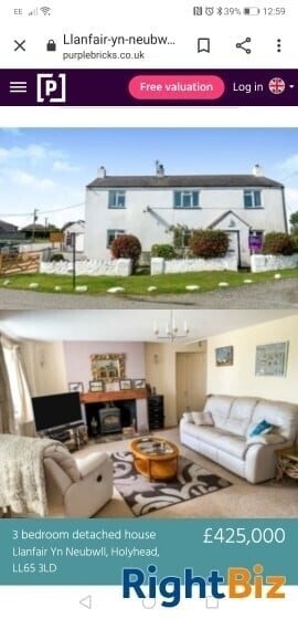 Cattery (Largest on Anglesey), stables, 4 Bed home, Static caravan and paddocks. Anglesey, N Wales. Photo 1