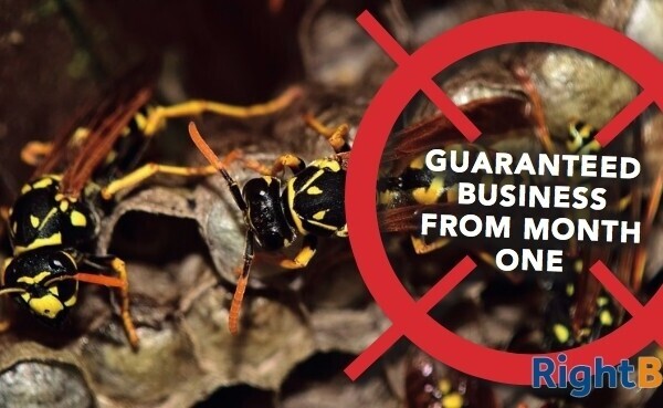Newcastle Franchisee Required For Pest Control Franchise With Guaranteed Leads! Photo 1