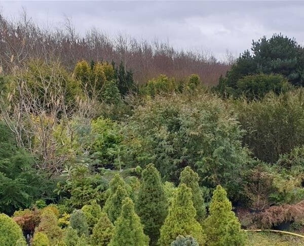 Garden Centre & Horticulture For Sale in Lincolnshire / Nottingham Border Photo 1