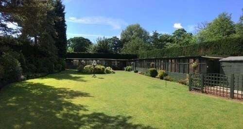 Cattery- East Yorkshire Photo 1