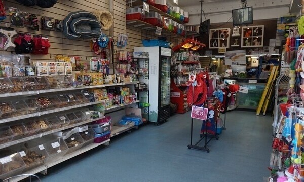 WELL-ESTABLISHED HIGH VOLUME PET SHOP with GROOMING PARLOUR & PET BOARDING Photo 1