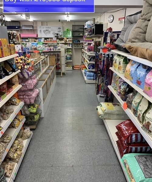 LIVE PETS & SUPPLIES EMPORIUM IN YORK SUBURB LIVE PETS & SUPPLIES EMPORIUM IN YORK SUBURB