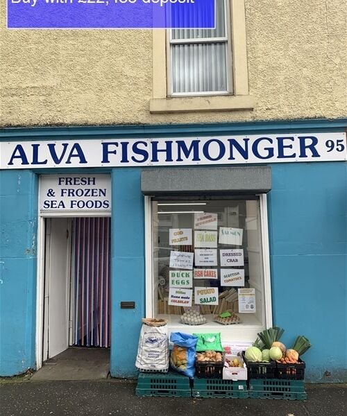 FREEHOLD TRADITIONAL FISHMONGER IN ALVA TOWN CENTRE