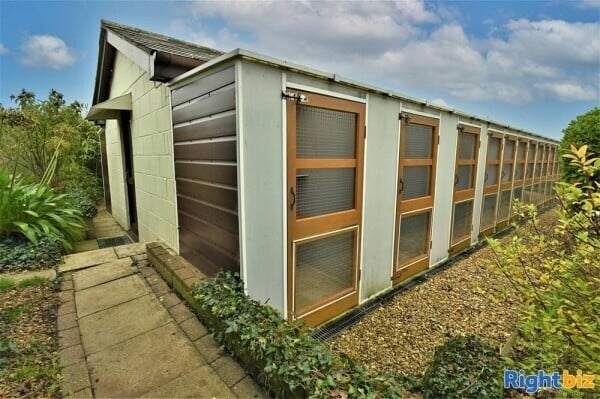 Kennels, Cattery & Equestrian businesses For Sale in Ventnor Photo 1
