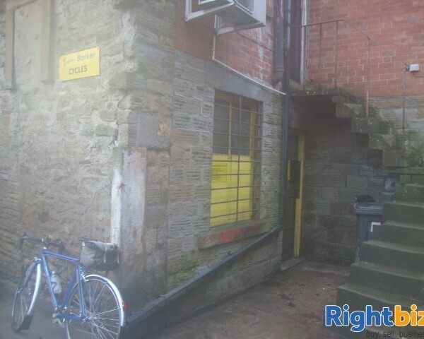 Bicycle shop frame building, frame repairs and painting servicing and repairs and sales in Dronfield Photo 2