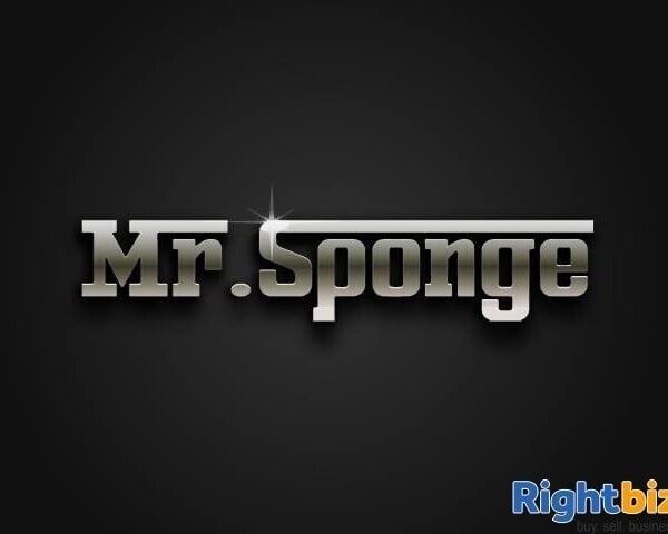 Mr Sponge Car Care London - mobile car valeting business for sale Photo 1