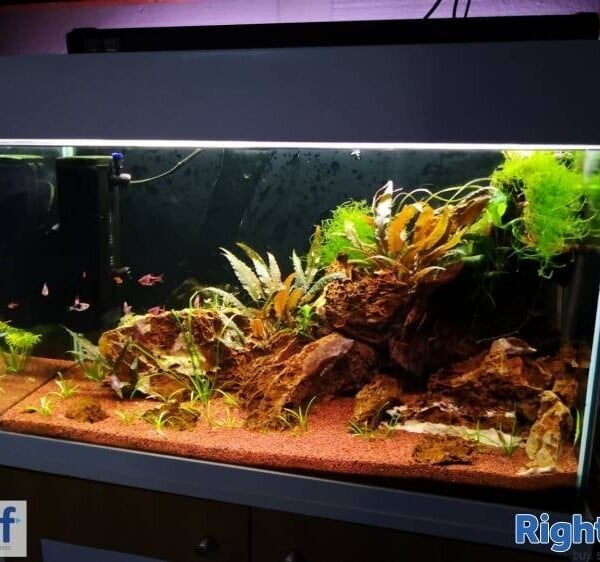 Freehold Aquatics Shop - Coalville, Leicestershire Photo 1
