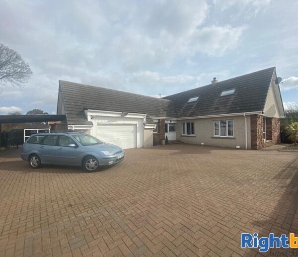 20 Year Established Cattery and Stunning Extensive Family Home Photo 1