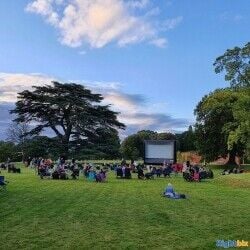 Profitable relocatable open air cinema business with bookings this summer 2021