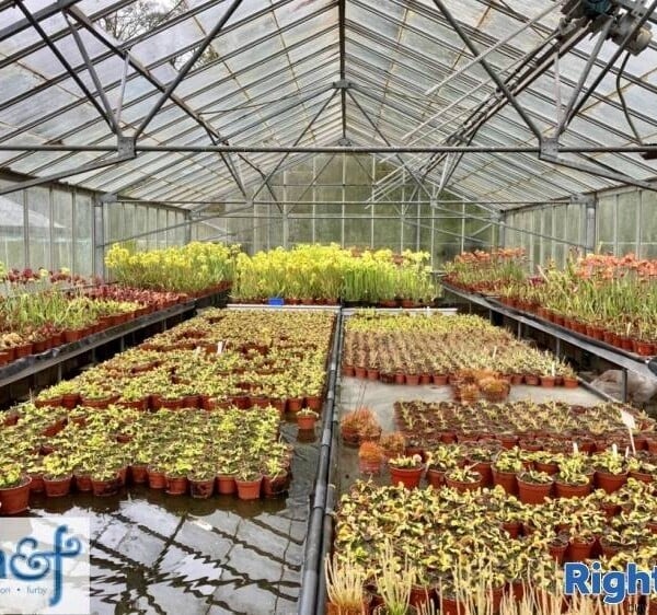 PLANT NURSERY & ON-LINE RETAIL BUSINESS Photo 1