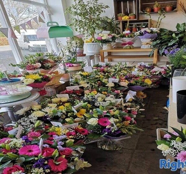 Long Standing Florist business for sale Photo 1