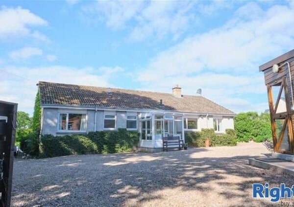 Cattery - Scottish Borders Photo 1