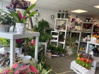 Well-Established Florist in Cornwall