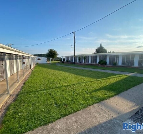 Kennels, Cattery & Equestrian businesses For Sale in Monmouthshire Photo 1