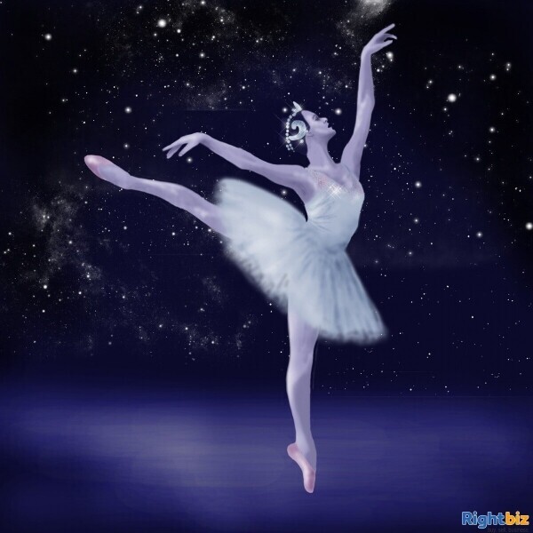 Dancewear & Costumes Design and Manufacturing Businesses for Sale Photo 1