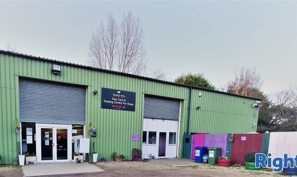 5 Star Rated Dog Day Care & Hydrotherapy Centre Photo 1