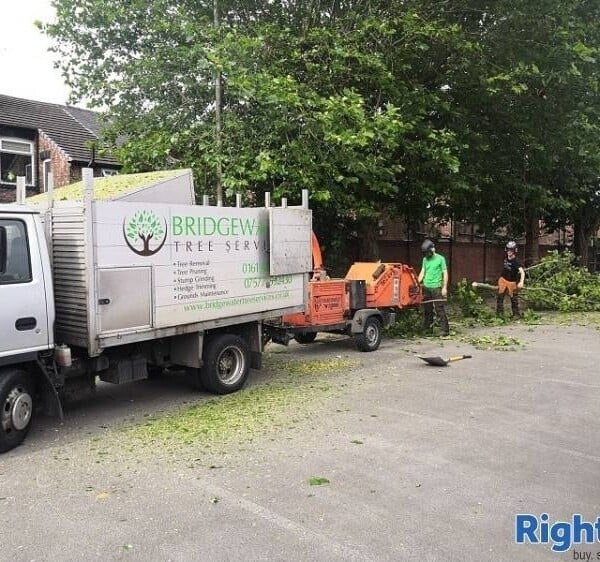 Well Established Tree Surgeons For Sale Photo 1
