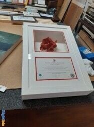 Established Bespoke Picture framing business for sale in Southsea Hampshire Established Bespoke Picture framing business for sale in Southsea Hampshire