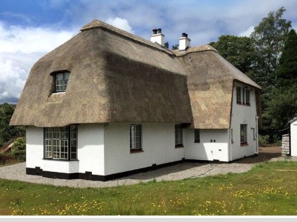 Well established Thatched Roofing Contractor for sale
