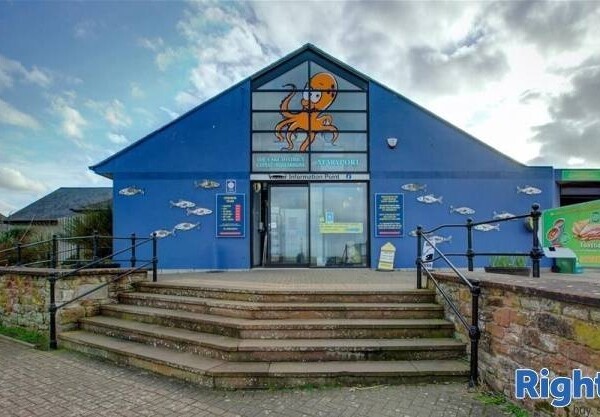 AQUARIUM AND CAFE - CUMBRIA Photo 1