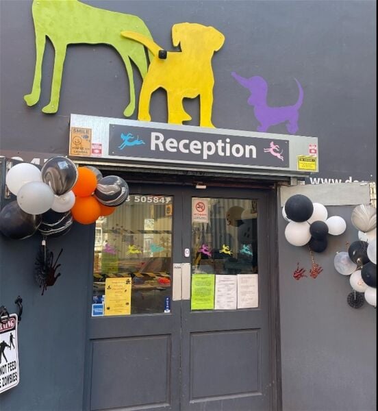 TOWN CENTRE DOGGY DAYCARE & GROOMING CENTRE based STOCKPORT Photo 1